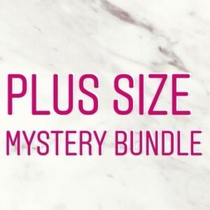 NWT Plus Size Mix Of Women's or Men’s Plus size Mystery Box